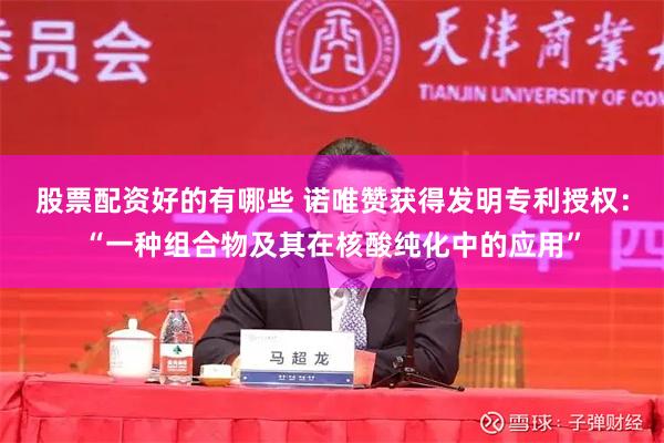 股票配资好的有哪些 诺唯赞获得发明专利授权：“一种组合物及其在核酸纯化中的应用”
