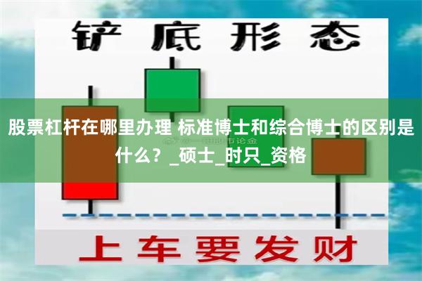 股票杠杆在哪里办理 标准博士和综合博士的区别是什么？_硕士_时只_资格