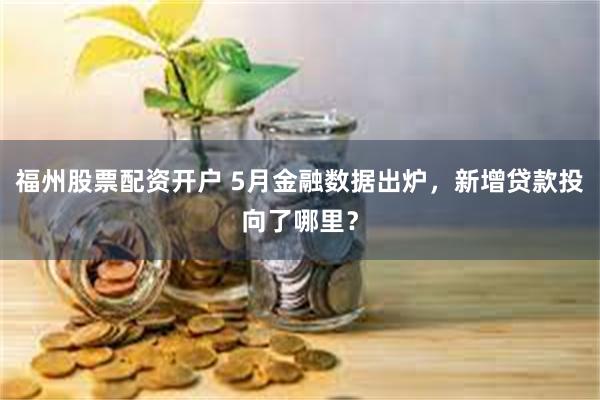 福州股票配资开户 5月金融数据出炉，新增贷款投向了哪里？